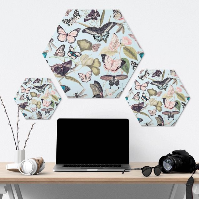 Hexagon Bild Alu-Dibond - Vintage Collage - Schmetterlinge und Libellen