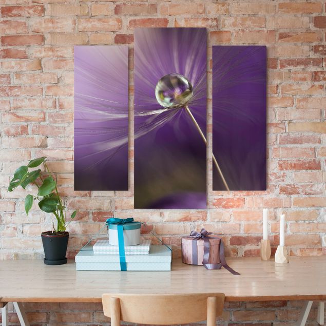 Leinwandbild 3-teilig - Pusteblume in Violett - Galerie Triptychon