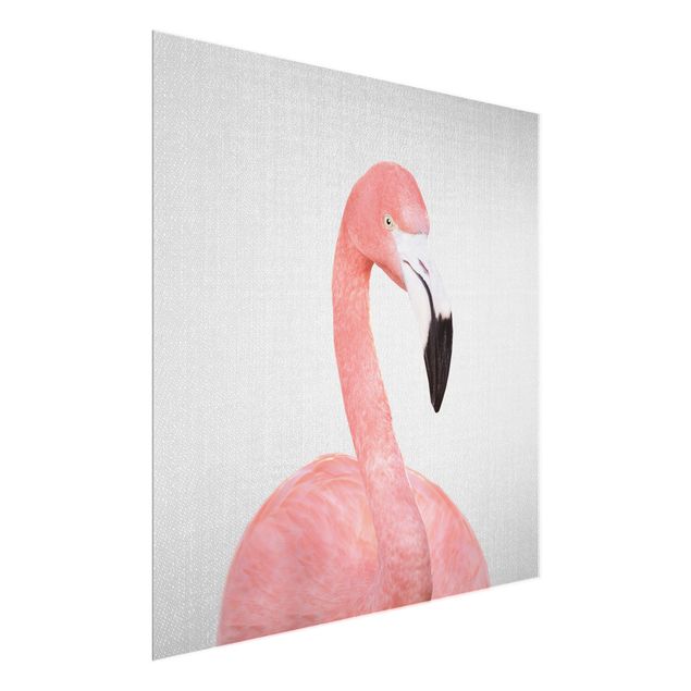 Glasbild - Flamingo Fabian - Quadrat