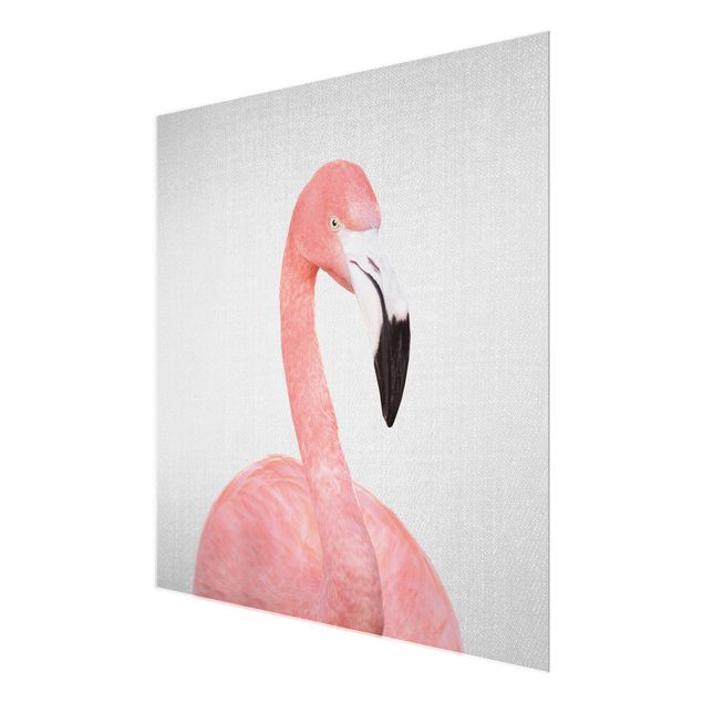 Glasbild - Flamingo Fabian - Quadrat