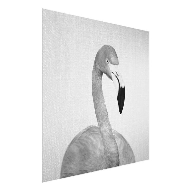 Glasbild - Flamingo Fabian Schwarz Weiß - Quadrat