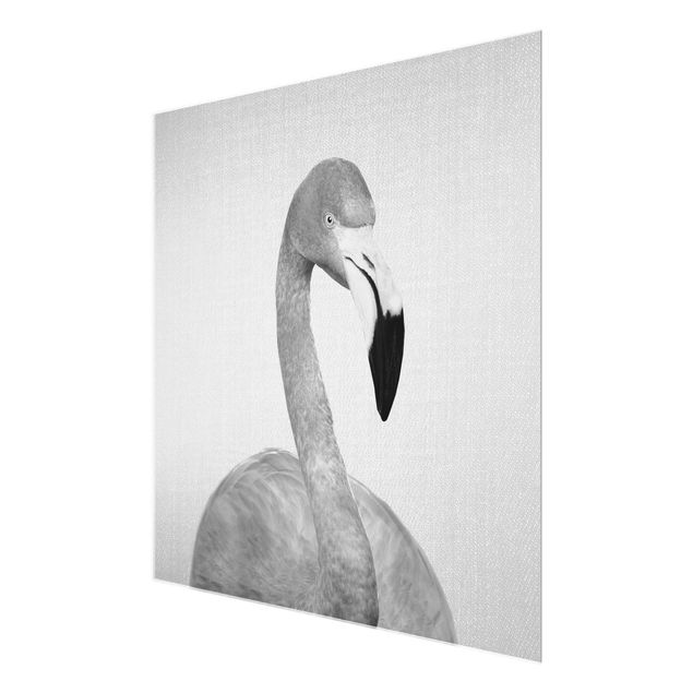 Glasbild - Flamingo Fabian Schwarz Weiß - Quadrat