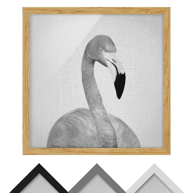 Bild mit Rahmen - Flamingo Fabian Schwarz Weiß - Quadrat - 1:1