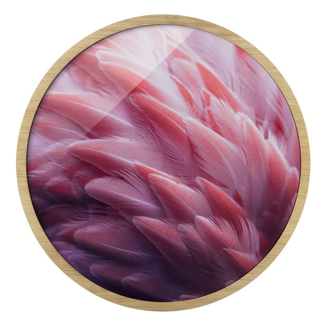 Rundes Gerahmtes Bild - Flamingofedern Close-up