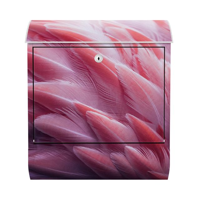 Briefkasten - Flamingofedern Close-up