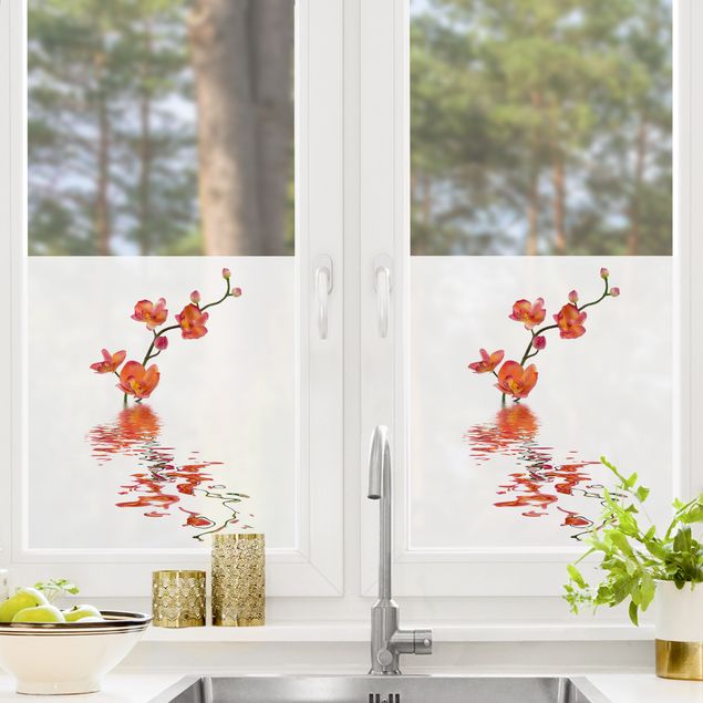 Fensterfolie - Sichtschutz - Flamy Orchid Waters - Fensterbilder