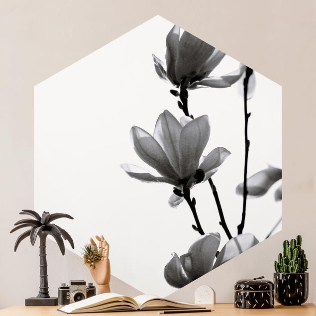 Hexagon Mustertapete selbstklebend - Frühlingsbote Magnolie Schwarz Weiß