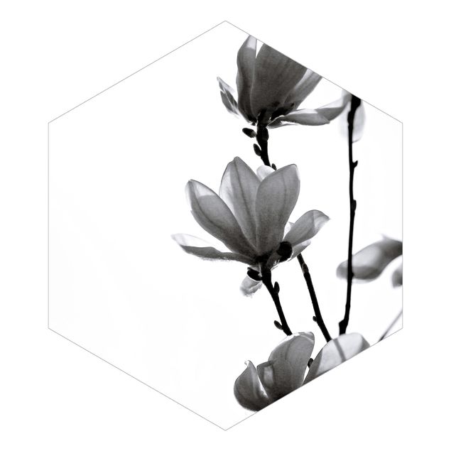 Hexagon Mustertapete selbstklebend - Frühlingsbote Magnolie Schwarz Weiß
