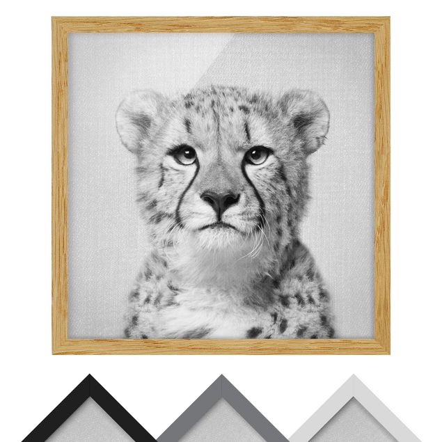 Bild mit Rahmen - Gepard Gerald Schwarz Weiß - Quadrat - 1:1