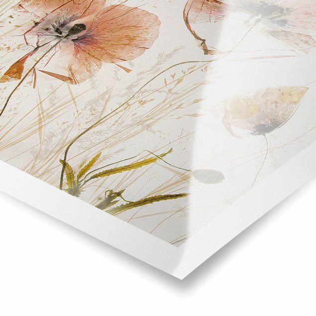 Poster - Getrocknete Mohnblüten mit zarten Gräsern - Quadrat 1:1