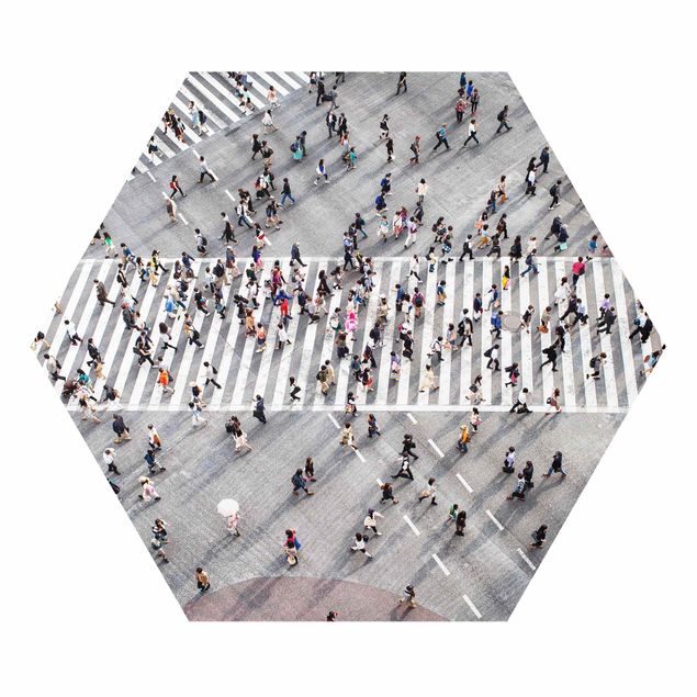 Hexagon Bild Forex - Shibuya Crossing in Tokio
