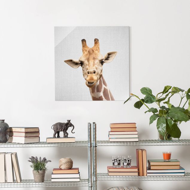 Glasbild - Giraffe Gundel - Quadrat