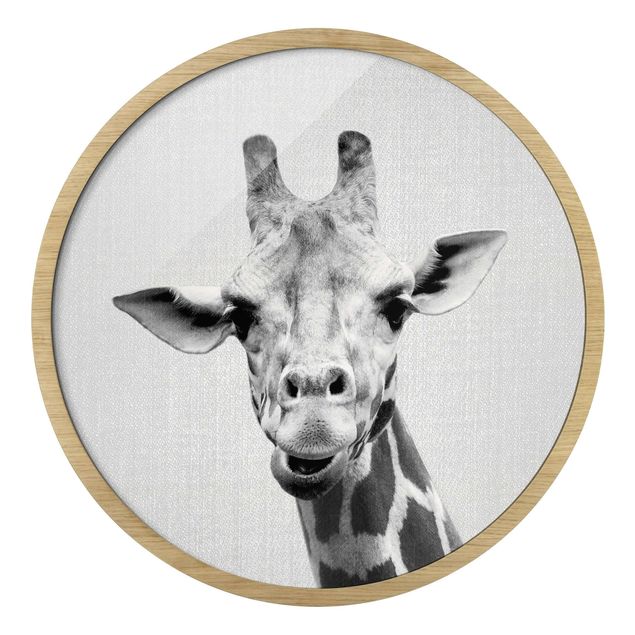 Rundes Gerahmtes Bild - Giraffe Gundel Schwarz Weiß