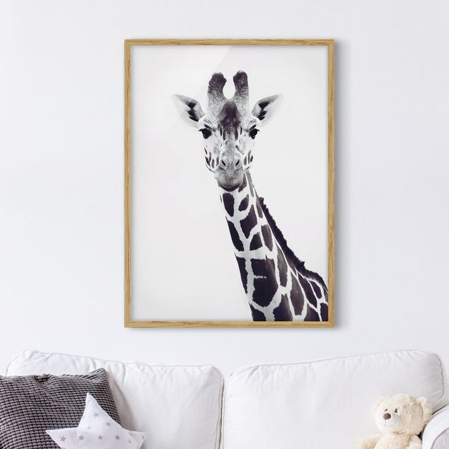 Bild mit Rahmen - Giraffen Portrait in Schwarz-weiß - Hochformat