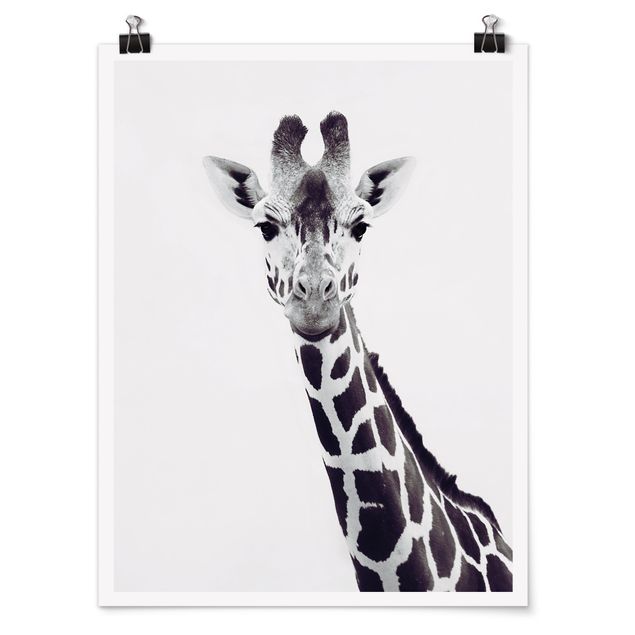 Poster - Giraffen Portrait in Schwarz-weiß - Hochformat 3:4