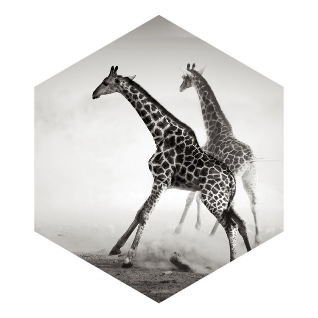 Hexagon Mustertapete selbstklebend - Giraffenjagd