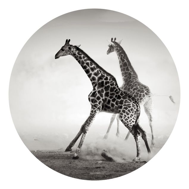 Runde Tapete selbstklebend - Giraffenjagd