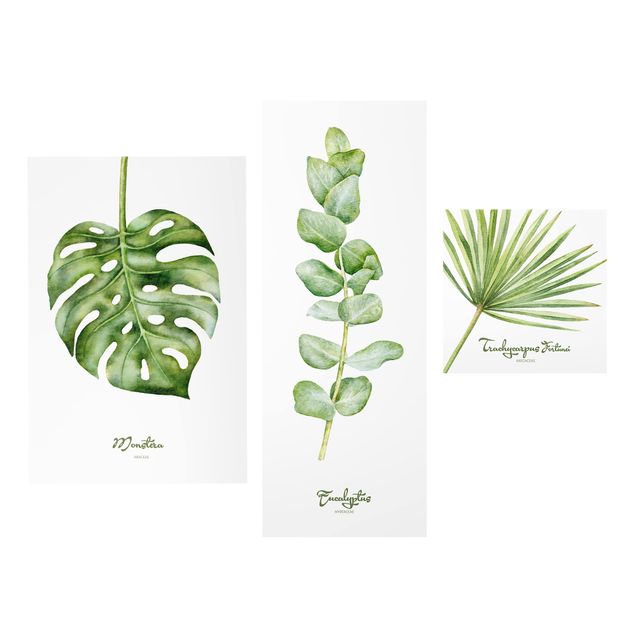Glasbild mehrteilig - Aquarell Botanik - Collage 3-teilig