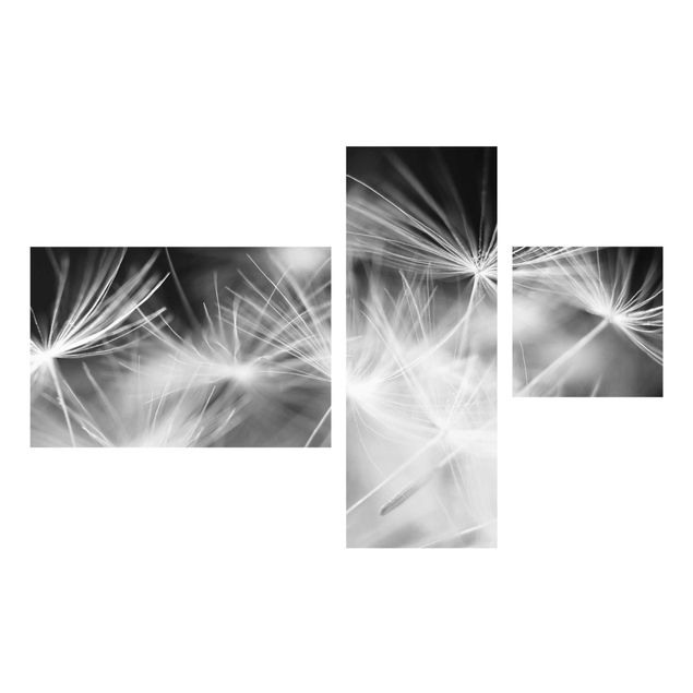 Glasbild mehrteilig - Bewegte Pusteblumen Nahaufnahme auf schwarzem Hintergrund 3-teilig