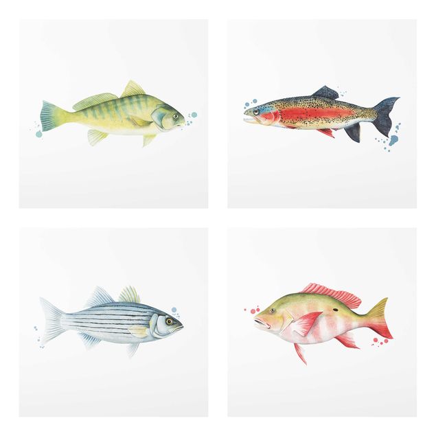Glasbild mehrteilig - Farbfang - Fische Set I - 4-teilig