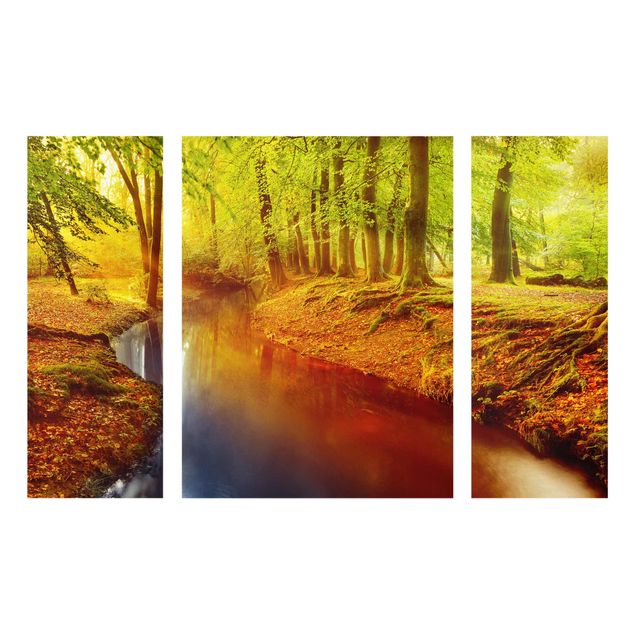 Glasbild mehrteilig - Herbstwald 3-teilig