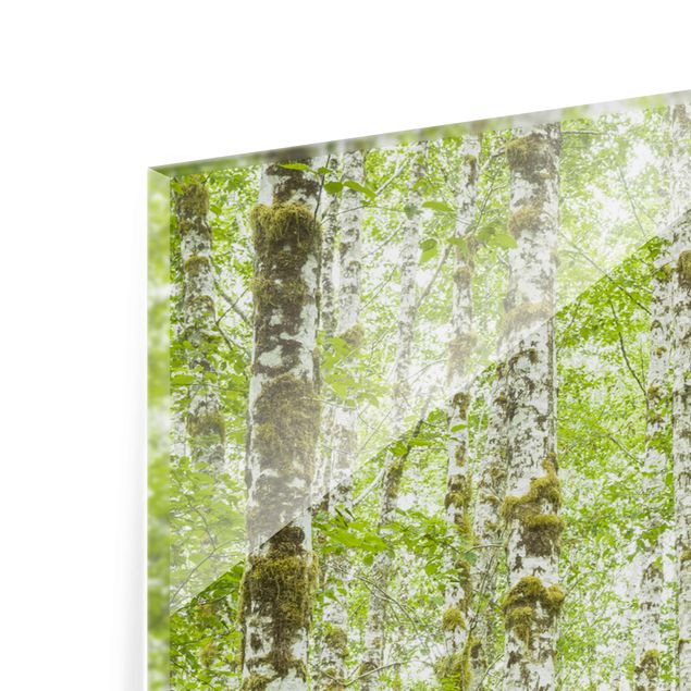Glasbild mehrteilig - Hoh Rainforest Olympic National Park - 3-teilig