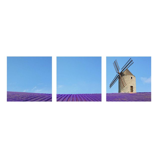 Glasbild mehrteilig - Lavendelduft in der Provence 3-teilig - Waldbild Glas