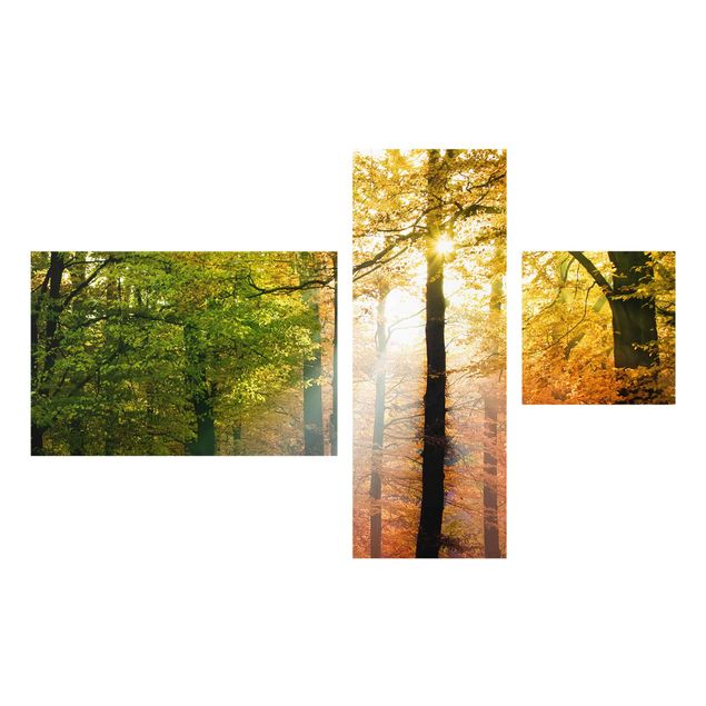 Glasbild mehrteilig - Morning Light Collage 3-teilig