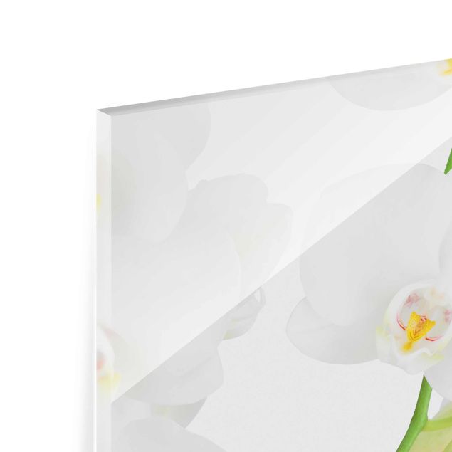 Glasbild mehrteilig - Orchideen auf Wasser 3-teilig - Waldbild Glas