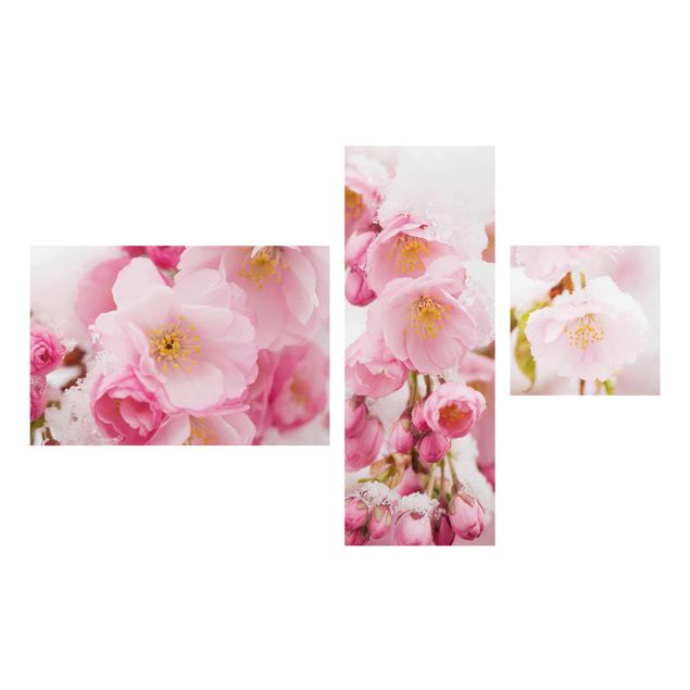 Glasbild mehrteilig - Schneebedeckte Kirschblüten - Collage 3-teilig