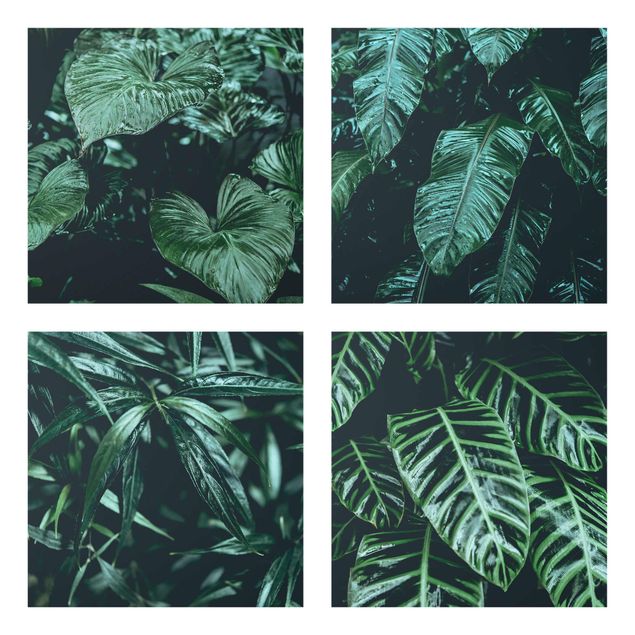 Glasbild mehrteilig - Tropische Pflanzen - 4-teilig