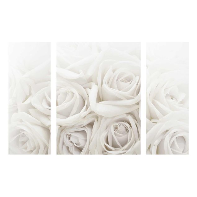 Glasbild mehrteilig - Weiße Rosen 3-teilig