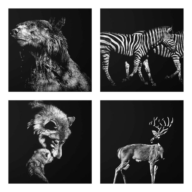 Glasbild mehrteilig - Wildtiere vor Schwarz Set I - 4-teilig