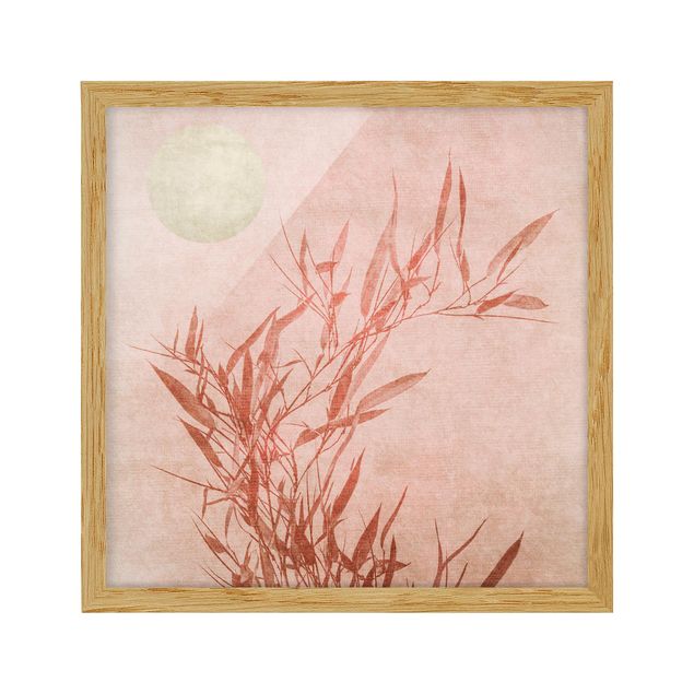 Bild mit Rahmen - Goldene Sonne mit Rosa Bambus - Quadrat