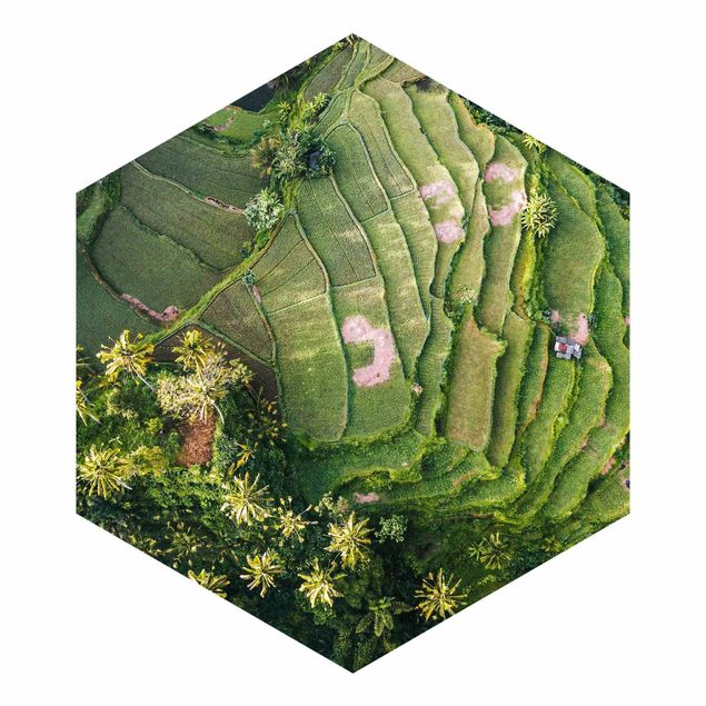 Hexagon Fototapete selbstklebend - Grüne Terassen