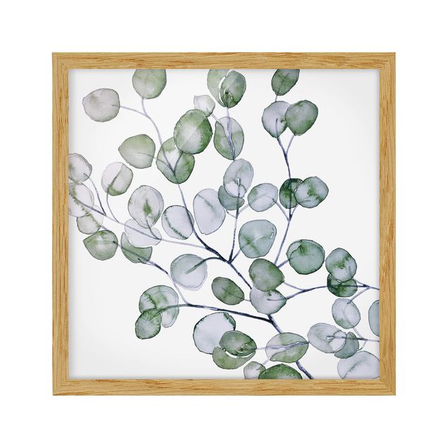 Bild mit Rahmen - Grünes Aquarell Eukalyptuszweig - Quadrat