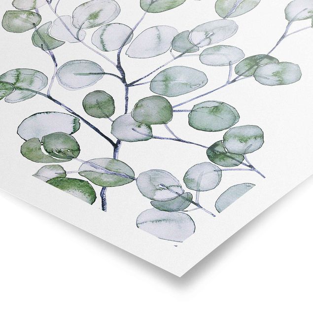 Poster - Grünes Aquarell Eukalyptuszweig - Quadrat 1:1