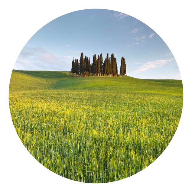 Runde Tapete selbstklebend - Grünes Feld in Toskana