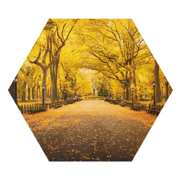 Hexagon Bild Alu-Dibond - Herbst im Central Park