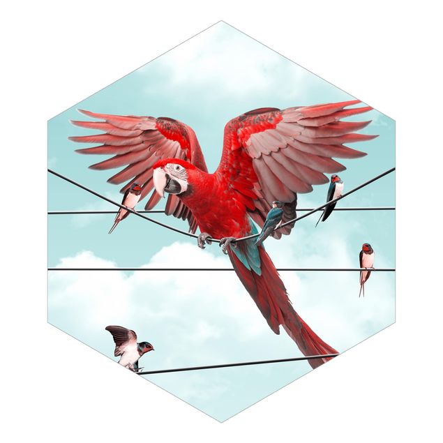 Hexagon Mustertapete selbstklebend - Himmel mit Vögeln
