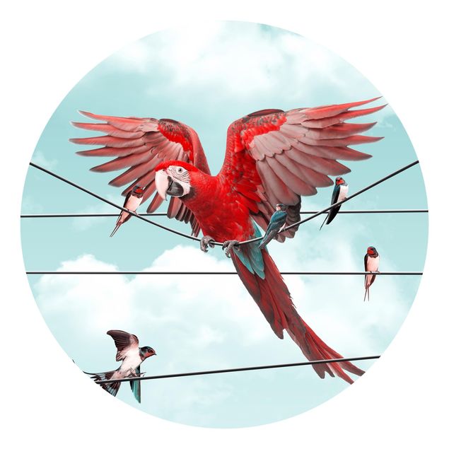 Runde Tapete selbstklebend - Himmel mit Vögeln
