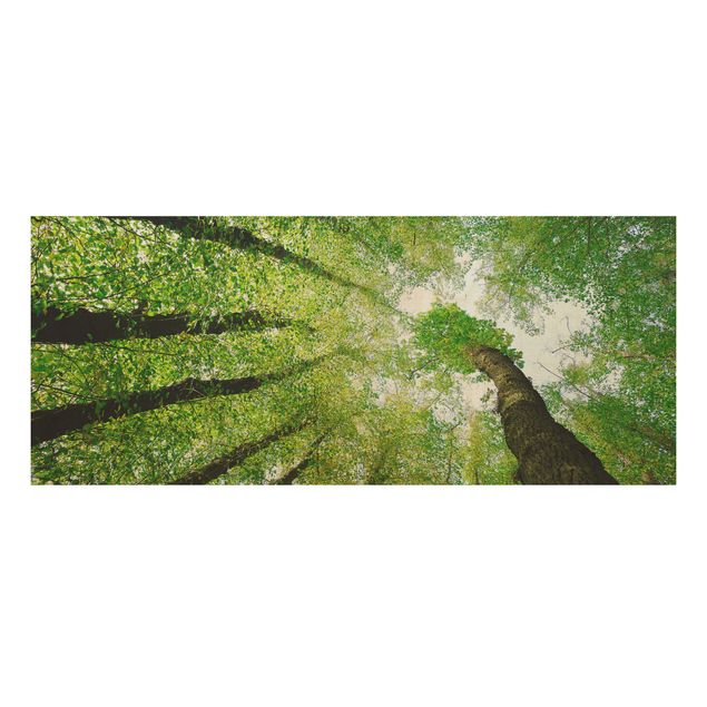 Holzbild - Bäume des Lebens - Panorama Quer