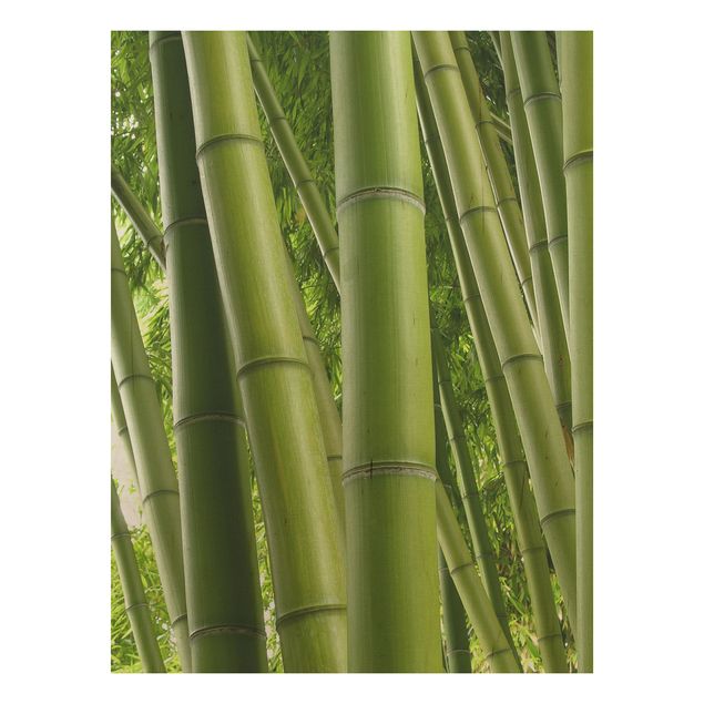 Holzbild - Bamboo Trees No.1 - Hoch 3:4