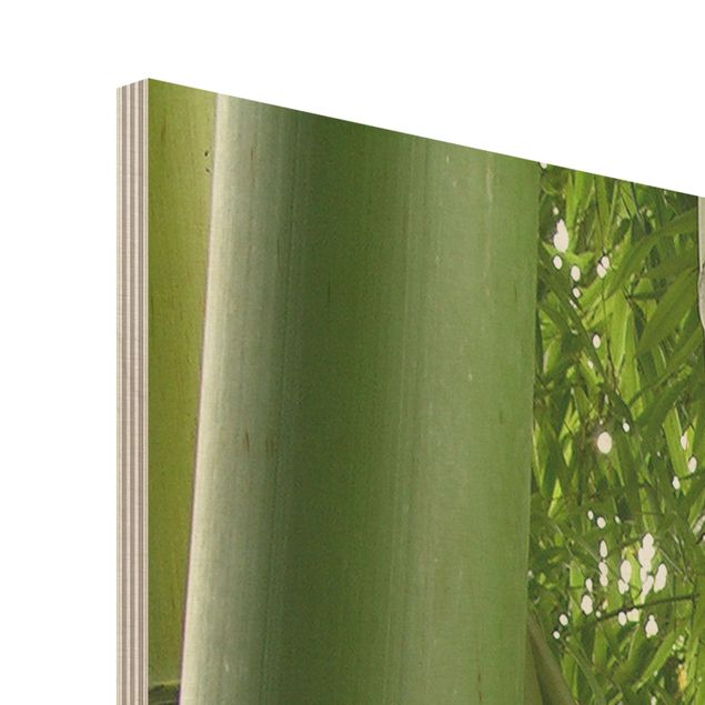 Holzbild - Bamboo Trees No.1 - Quadrat 1:1