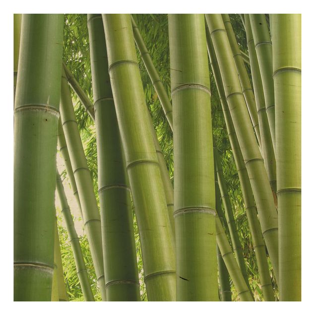 Holzbild - Bamboo Trees No.1 - Quadrat 1:1