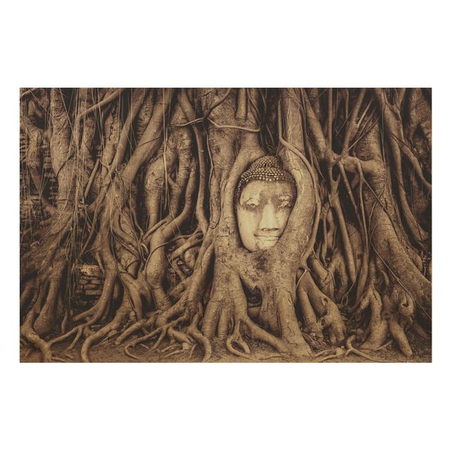 Holzbild - Buddha in Ayutthaya von Baumwurzeln gesäumt in Braun - Quer 3:2