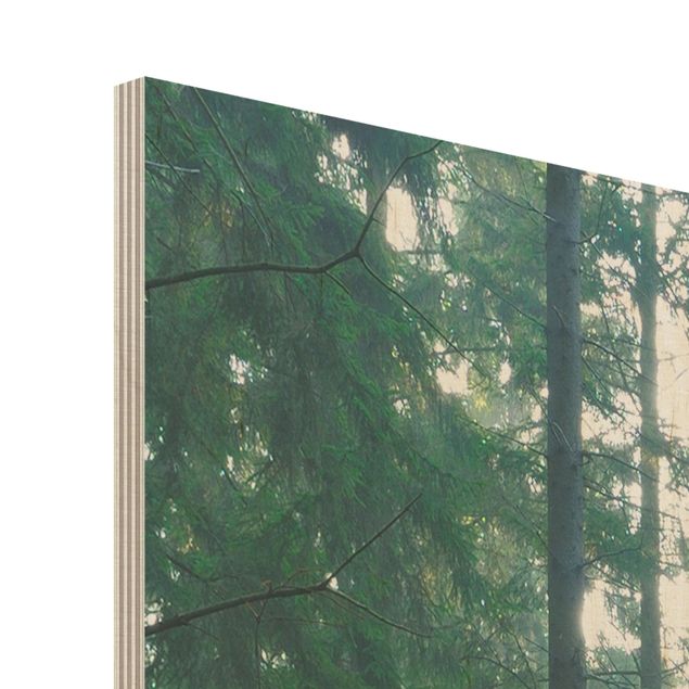Holz Wandbild - Enlightened Forest - Quadrat 1:1