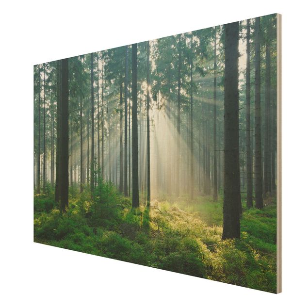 Holz Wandbild - Enlightened Forest - Quer 3:2