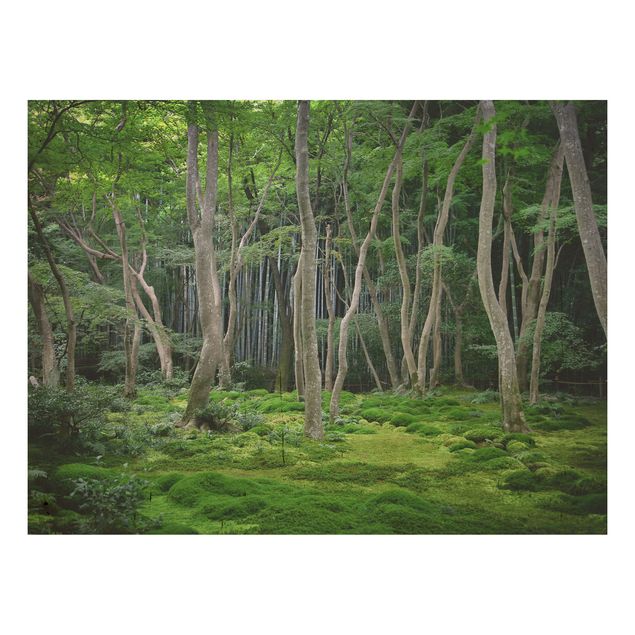 Holzbild - Japanischer Wald - Quer 4:3