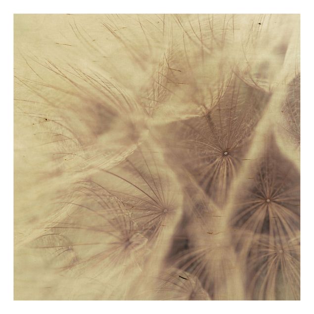 Holzbild Pusteblume - Detailreiche Pusteblumen Makroaufnahme mit Vintage Blur Effekt - Quadrat 1:1